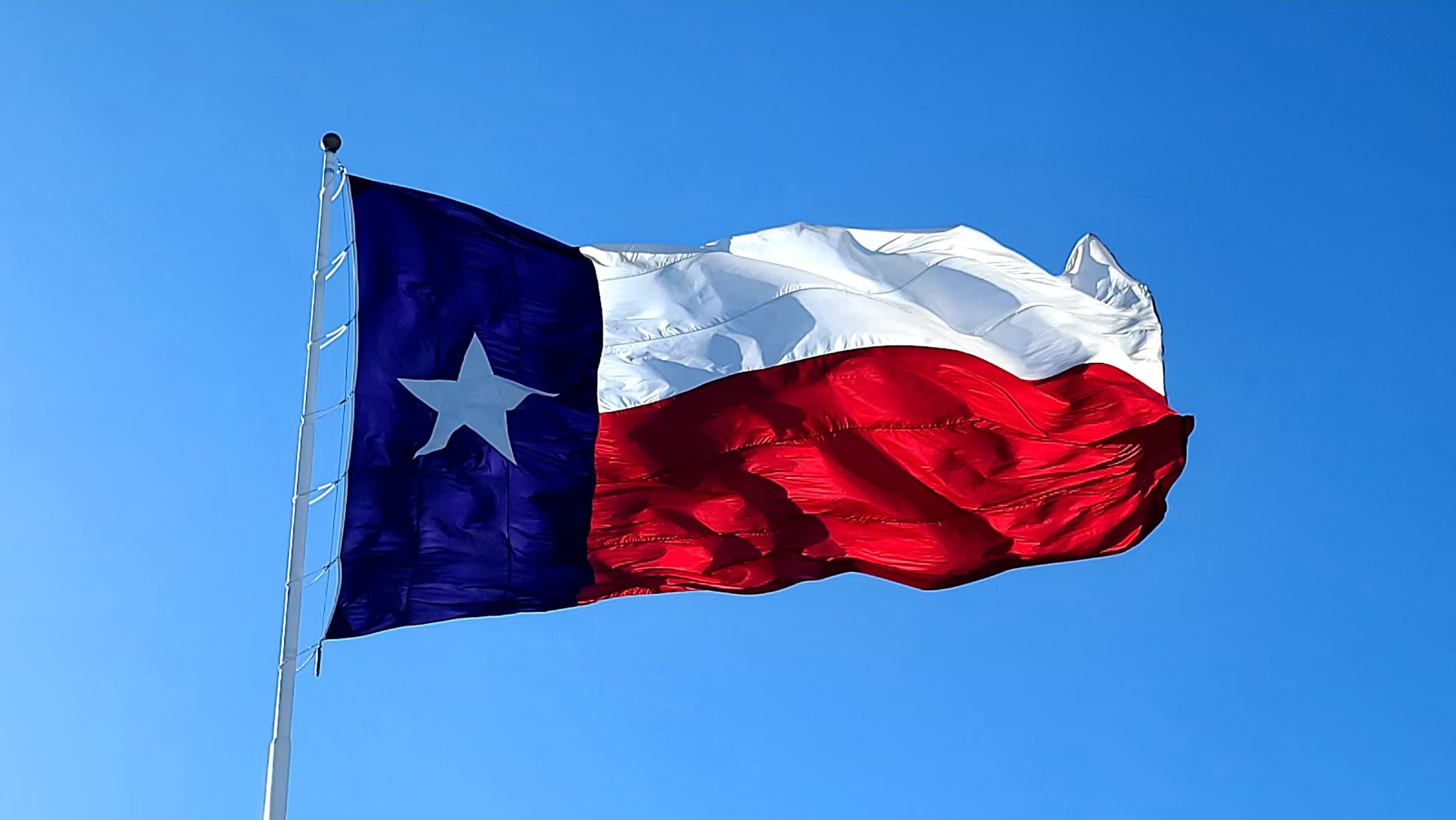 Texas Lone Star State Flag